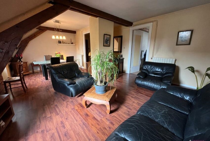 BELFORT proche des quais APPARTEMENT A VENDRE