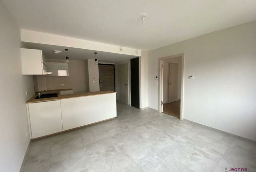 T2 BELFORT A LOUER - NEUF + PLACE DE PARKING EN SOUS-SOL + TERRA