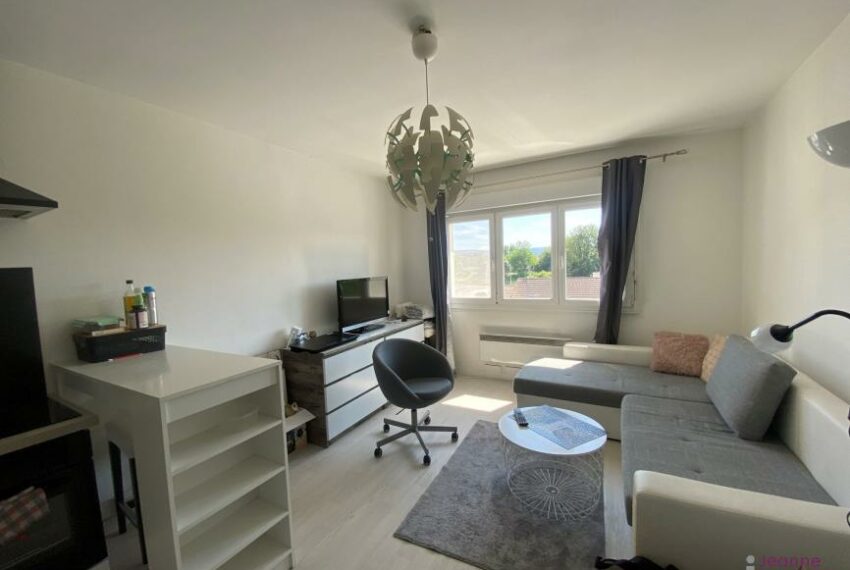 APPARTEMENT T2- CAVE