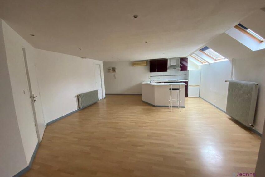 APPARTEMENT 2 PIÈCES CENTRE-VILLE