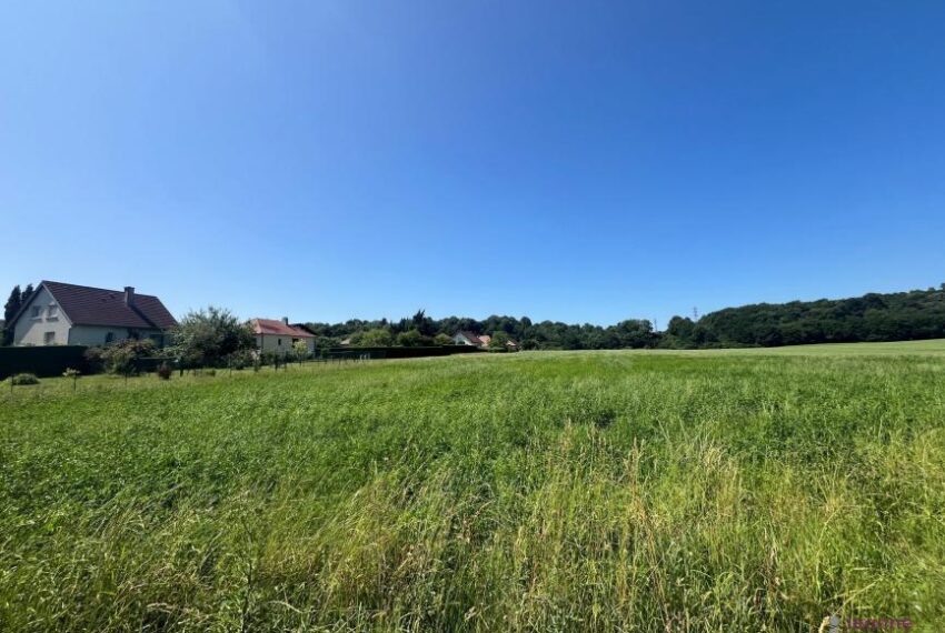 EXCLUSIF TERRAIN CONSTRUCTIBLE BAVILLIERS