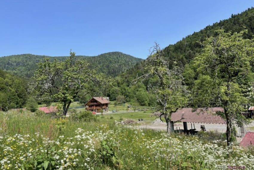 A VENDRE MAISON A LA CAMPAGNE
