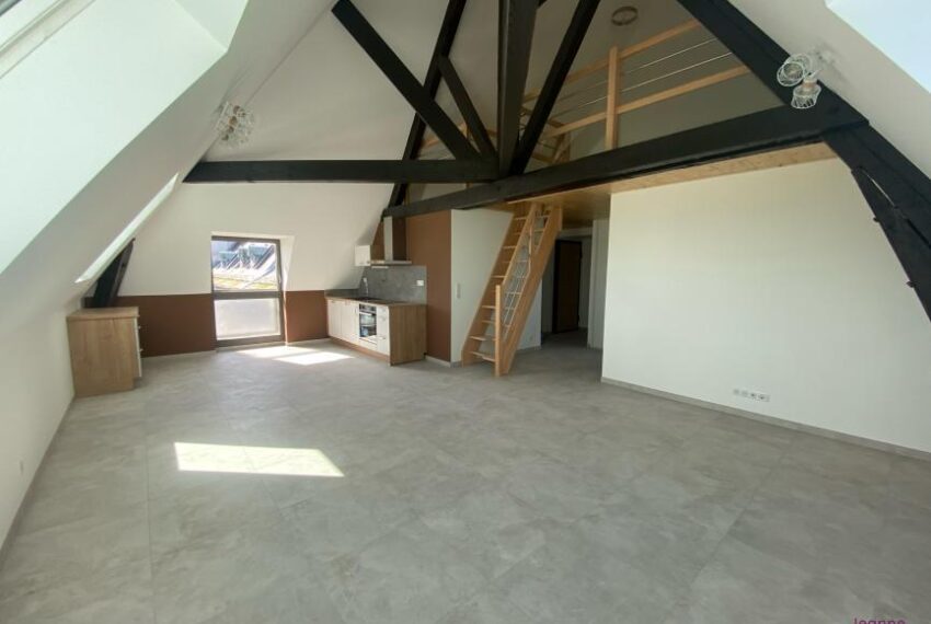 T3 -BELFORT A LOUER + GARAGE + CAVE