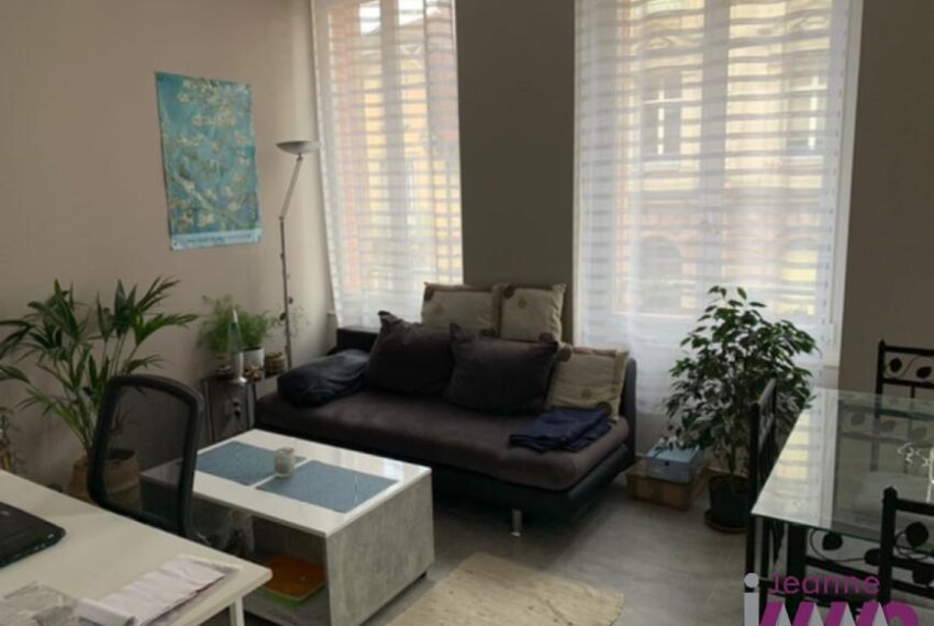 BELFORT Vieille Ville - T2 en parfait état