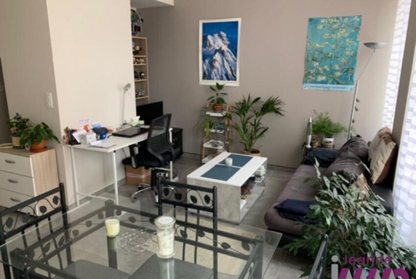 BELFORT Vieille Ville - T2 en parfait état