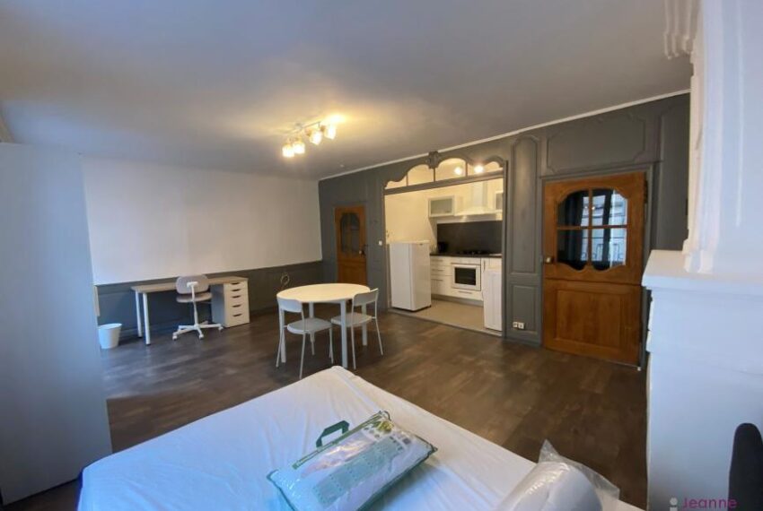STUDIO MEUBLÉ EN VIEILLE VILLE
