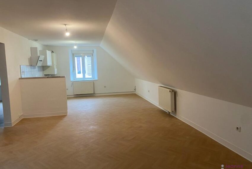 APPARTEMENT T3 ENTIEREMENT RÉNOVÉ -PARKING- CAVE