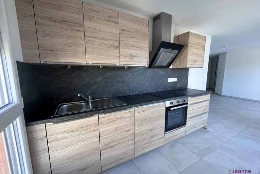A LOUER APPARTEMENT T5 NEUF MULHOUSE-CENTRE