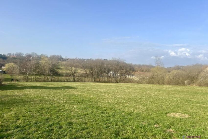 A VENDRE GRAND TERRAIN FRAHIER