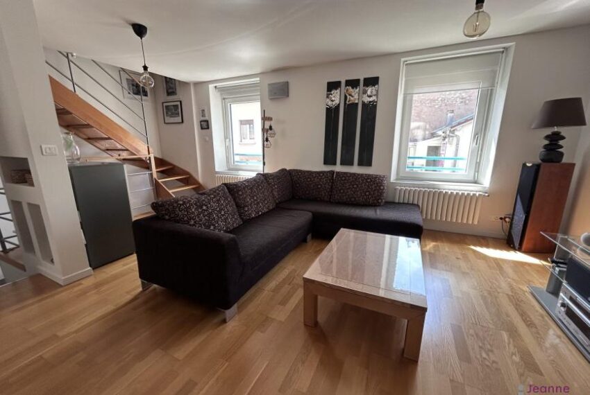 BELFORT – Appartement familial avec volumes exceptionnels, gar
