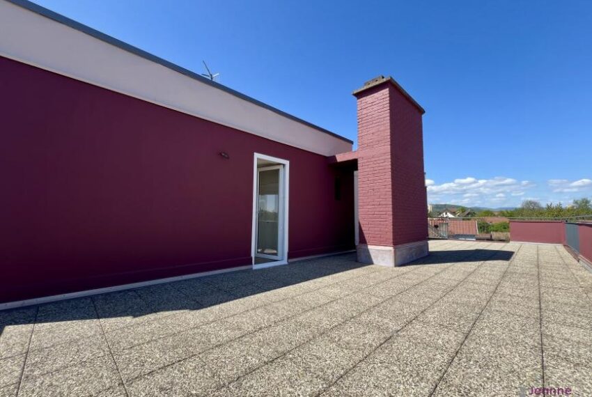 A VENDRE APPARTEMENT T2 BAVILLIERS -TERRASSE