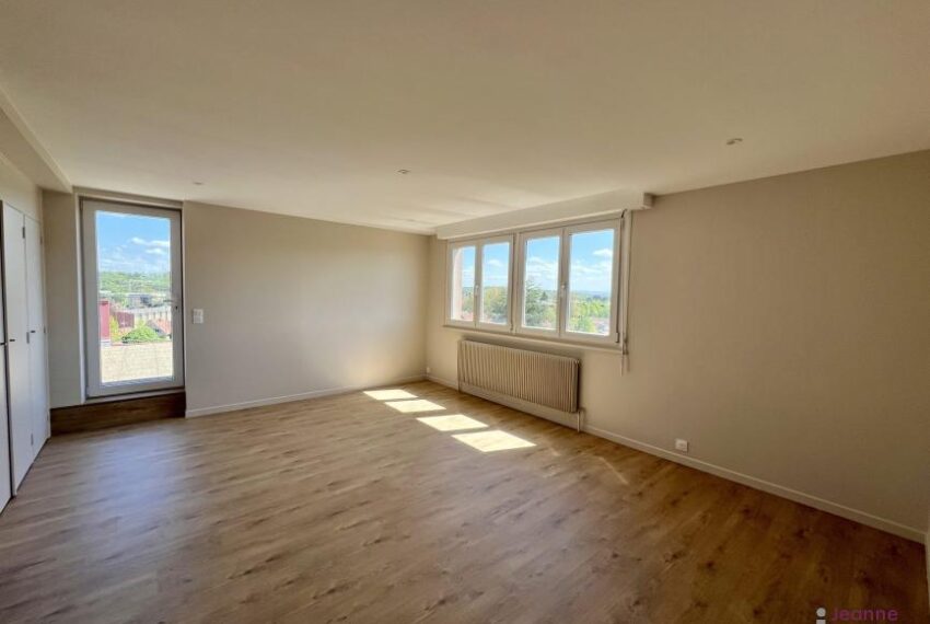 A VENDRE APPARTEMENT T2 BAVILLIERS -TERRASSE
