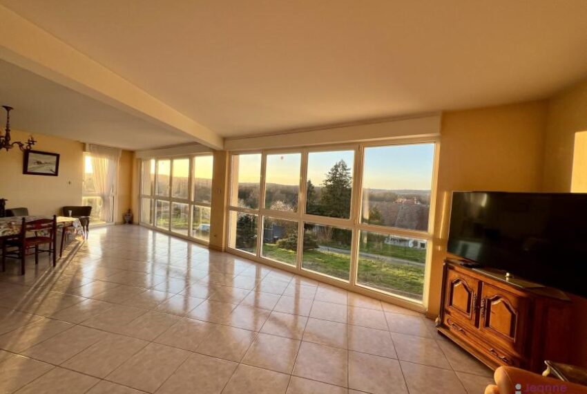A VENDRE MAISON D'ARCHITECTE PROCHE BELFORT. 10 min HOPITAL - GA