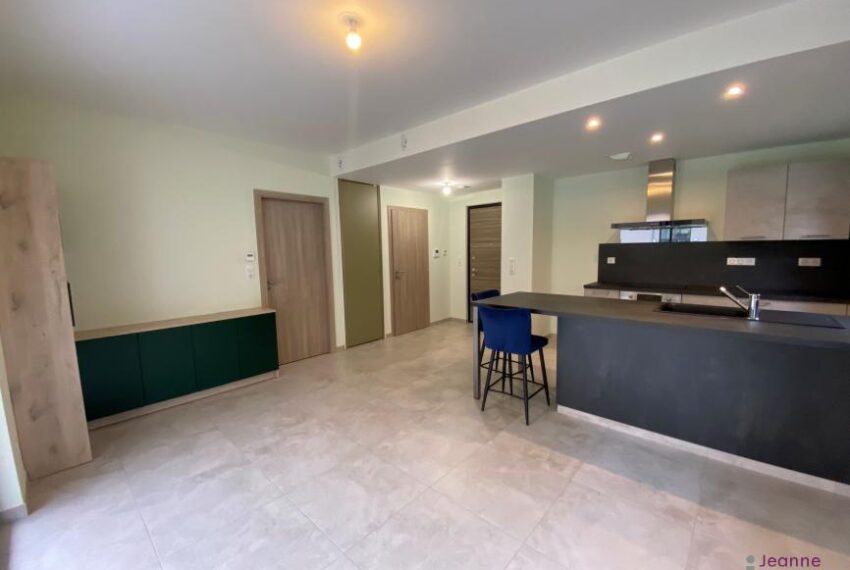 T2 BELFORT A LOUER - NEUF + GARAGE + TERRASSE+JARDIN