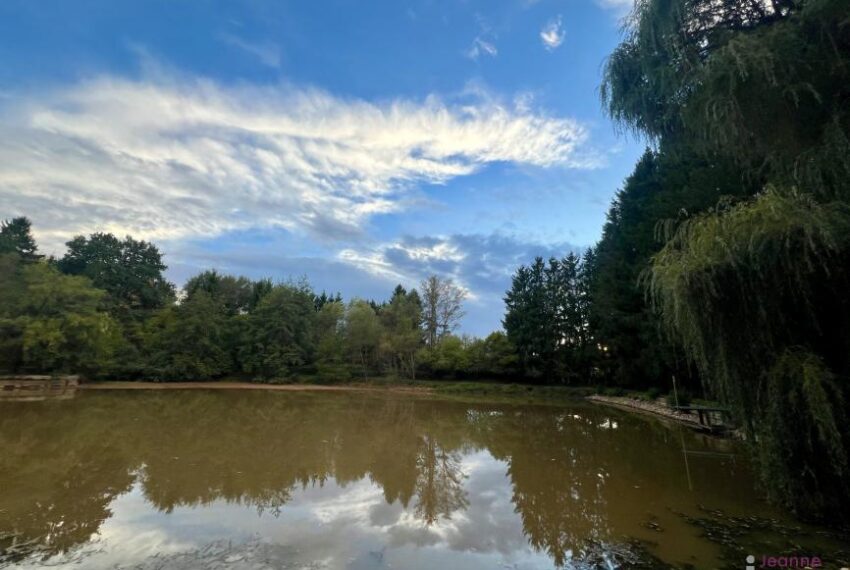 A VENDRE ETANG avec Magnifique Cabane de pecheur sur 122 ares