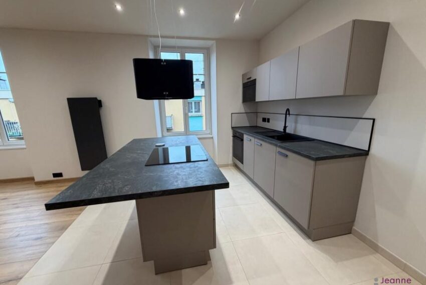 BELFORT A LOUER APPARTEMENT T2 ENTIEREMENT RENOVE