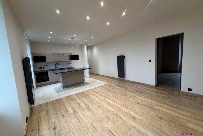 BELFORT A LOUER APPARTEMENT T2 ENTIEREMENT RENOVE