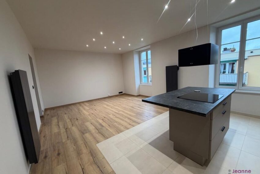 BELFORT A LOUER APPARTEMENT T2 ENTIEREMENT RENOVE